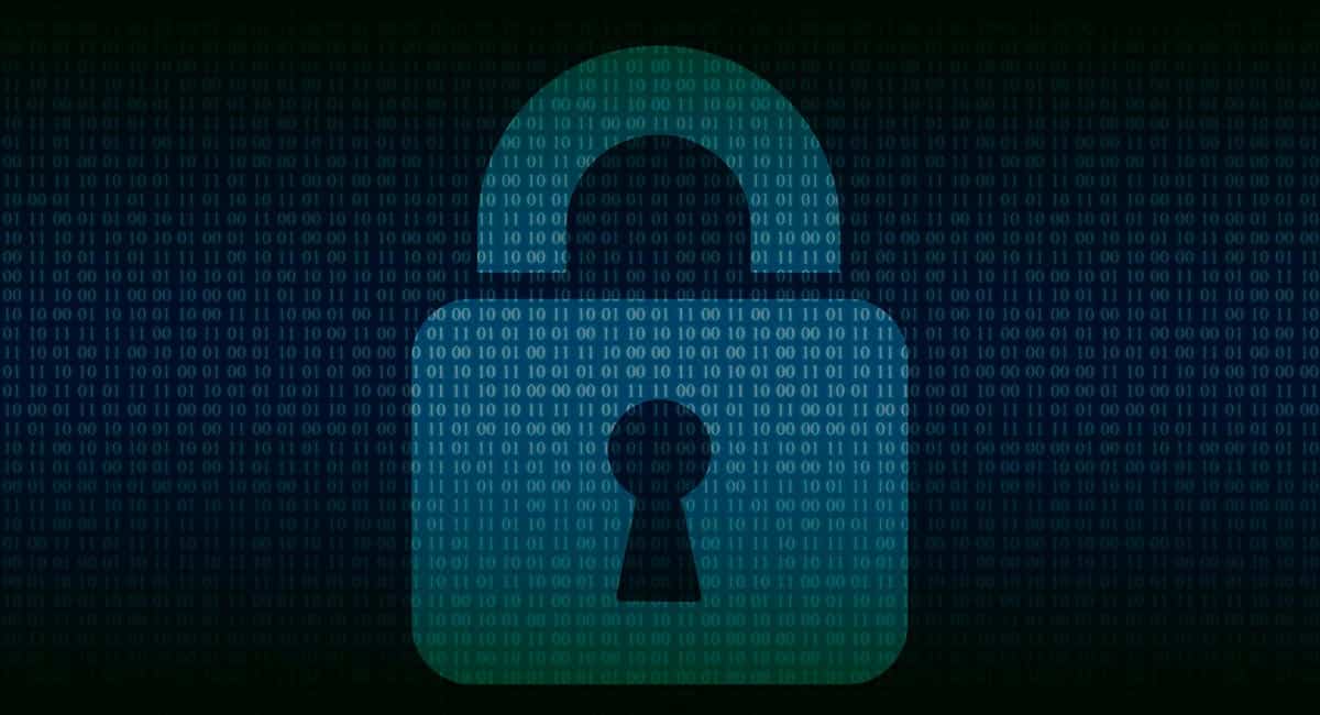 candaddado_ciberseguridad_6767.jpg