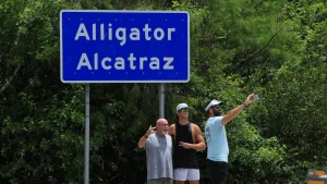 alligatoralcatraz2.jpg